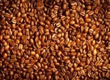 颗粒饱满的巴拿马丘比特咖啡研磨度烘焙程度处理方法简介
