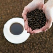 余味缠绕柔滑顺口的多米尼加精品咖啡研磨度烘焙程度处理方法