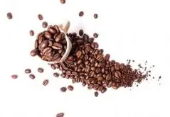 独特醇厚的埃塞俄比亚西达摩夏奇索产区精品咖啡豆风味口感香气特
