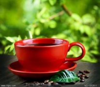 甜花香味的萨尔瓦多茶花女庄园精品咖啡豆风味口感香气特征描述简