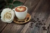 优雅气息的牙买加银山庄园精品咖啡豆风味口感香气特征描述简介
