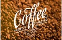 香味浓郁的印尼芙茵庄园精品咖啡豆品种种植市场价格简介