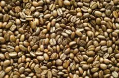 苦感微弱干净的巴西精品咖啡豆种植情况地理位置气候海拔简介