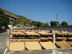 种类繁多的巴西精品咖啡豆研磨度烘焙程度处理方法简介