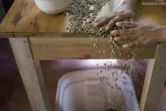 泼辣奔放的肯尼亚精品咖啡豆起源发展历史文化简介