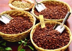 酸中带甜的加拉帕戈斯精品咖啡豆研磨度烘焙程度处理方法简介