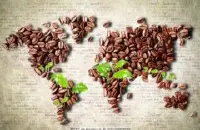 口味清新淡雅的艾丽达庄园精品咖啡豆起源发展历史文化简介