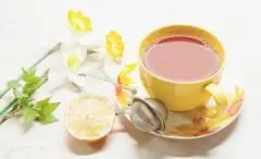 茶树精油香气的柠檬树庄园精品咖啡豆起源发展历史文化简介