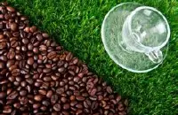 辛香芳醇的牙买加精品咖啡豆种植情况地理位置气候海拔简介