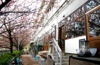 如动漫场景重现：东京赏樱咖啡厅