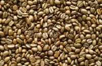 清新明亮的日晒耶加雪菲沃卡精品咖啡豆种植情况地理位置气候海拔