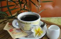 味道均衡的圣芭拉拉庄园精品咖啡豆风味口感香气特征描述简介
