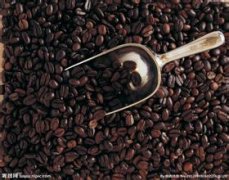 清香味道的喜悦庄园精品咖啡豆风味口感香气特征描述简介
