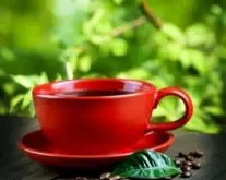 香醇味道的洛斯刚果庄园精品咖啡豆风味口感香气特征描述简介