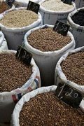 光泽鲜亮的肯尼亚精品咖啡豆起源发展历史文化简介