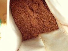豆质较硬的苏门答腊林东精品咖啡豆品种种植市场价格简介