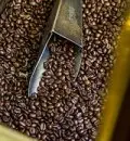 黑色SHB蜜处理的哥斯达黎加法拉蜜精品咖啡豆品种种植市场价格简