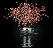 浅浅酸味的尼加拉瓜拉卡杜拉精品咖啡豆品种种植市场价格简介