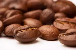 干货 | 探究10款精品咖啡豆的特点