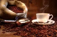 清新明亮的科契尔庄园精品咖啡豆品种种植市场价格简介