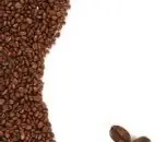 果酸及柑橘味的科契尔庄园精品咖啡豆种植情况地理位置气候海拔简