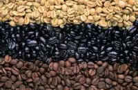 口感狂野的夏奇索产区精品咖啡豆品种种植市场价格简介