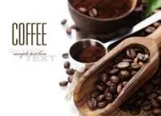 独特醇厚的夏奇索产区精品咖啡豆研磨度烘焙程度处理方法简介