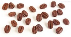 甜度颇佳的哥斯达黎加钻石山庄园精品咖啡豆起源发展历史文化简介
