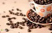 甜美可人的埃塞俄比亚咖啡庄园精品咖啡豆研磨度烘焙程度处理方法