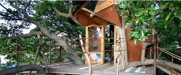 被森林和咖啡香气包围，日本七座最治愈的树屋咖啡