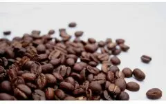 茶树精油香气的柠檬树庄园精品咖啡豆研磨度烘焙程度处理方法简介