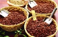 低海拔种植的卡蒂姆精品咖啡豆研磨度烘焙程度处理方法简介