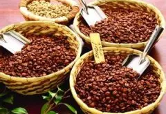 低海拔种植的卡蒂姆精品咖啡豆研磨度烘焙程度处理方法简介
