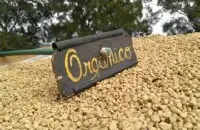 浓浓香气的危地马拉安提瓜花神精品咖啡豆种植情况地理位置气候海