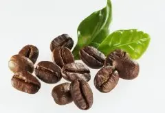 酸性温和的圣罗曼庄园精品咖啡豆起源发展历史文化简介
