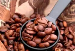 柔滑细致的喜悦庄园精品咖啡豆起源发展历史文化简介
