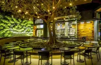 星巴克的另一面：它如何打造全球最环保咖啡馆？