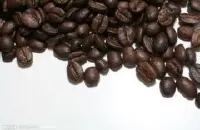 巴拿马波魁特含70%瑰夏花蝴蝶精品咖啡豆种植情况地理位置气候海