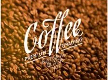 清新淡雅的圣多明各精品咖啡豆品种种植市场价格简介