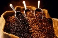 AEKI：国内产量不稳定 今年咖啡总出口仅35万吨