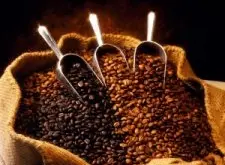 AEKI：国内产量不稳定 今年咖啡总出口仅35万吨
