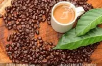 滋味鲜美的圣罗曼庄园精品咖啡豆品种种植市场价格简介