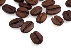 果香优雅迷人的凯撤路易斯庄园精品咖啡豆品种种植市场价格简介