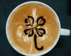 风格明亮的哥斯达黎加钻石山庄园精品咖啡豆风味口感香气特征描述