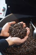 巴拿马巴鲁火山丘比特含30%瑰夏豆精品咖啡豆起源发展历史文化简