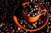 90+烛芒咖啡豆西达摩日晒精品咖啡豆种植情况地理位置气候海拔简