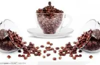 90+烛芒咖啡豆西达摩日晒精品咖啡豆研磨度烘焙程度处理方法简介