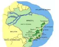 2016巴西HIU微批次春天庄园水洗黄卡杜艾咖啡豆米纳斯州下单烘焙