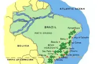 巴西米纳斯州HIU微批次春天庄园水洗黄卡杜艾研磨度烘焙程度处理