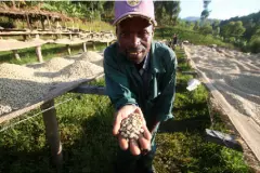 布隆迪Burundi卡扬札省日晒波旁种精品咖啡豆研磨度烘焙程度处理